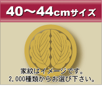 40~44cmサイズ