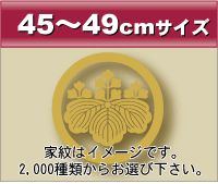 45~49cmサイズ